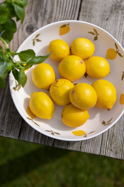 Bowl, earthenware, lemons, Ø28 cm