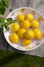 Bowl, earthenware, lemons, Ø28 cm