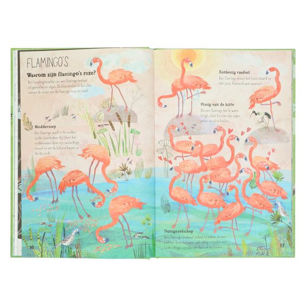 Het Vrolijke Vogel Boek, Yuval Zommer Het Vrolijke Vogel Boek, Yuval Zommer