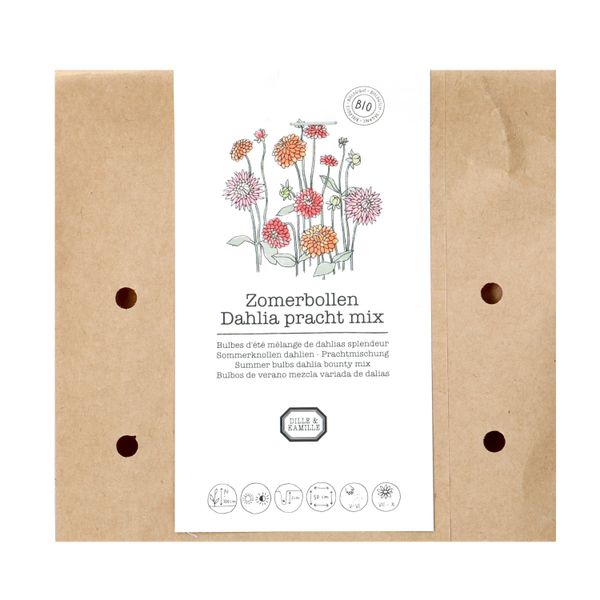 Bulbes de fleurs, Dahlias mix splendeur, 3 pièces Bulbes de fleurs, Dahlias mix splendeur, 3 pièces