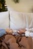 Christmas cracker, winterbos, 8 stuks in een doosje