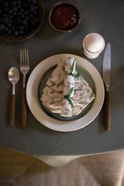 Christmas crackers, kerstgroen, 8 stuks in een doosje