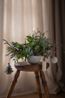 Hanger kaars, papier, uitvouwbaar, wit, set van 2