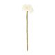 Fleur, feutrine, blanc, env. 26 cm Fleur, feutrine, blanc, env. 26 cm