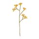 Branche patte de kangourou, feutrine, jaune, env. 37 cm Branche patte de kangourou, feutrine, jaune, env. 37 cm