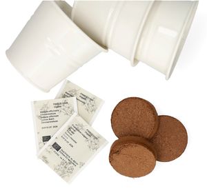 Kit de culture, herbes à thé, biologique, 3 pots