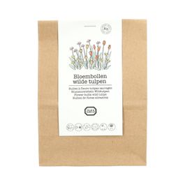 Bloembollen, biologisch, wilde tulpen, 5 stuks