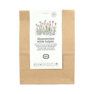 Blumenzwiebeln, biologisch, Wilde Tulpen, 5 Stück