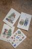 Kerstkaarten met envelop, winteraccessoires, set van 10 in een doos