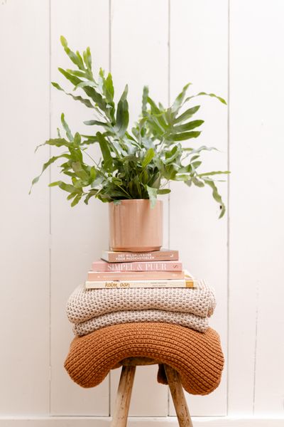 Cache-pot et soucoupe, céramique, vieux rose, Ø16 x 15 cm