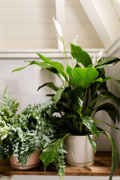 Cache-pot et soucoupe, céramique, beige, Ø21 x 20 cm