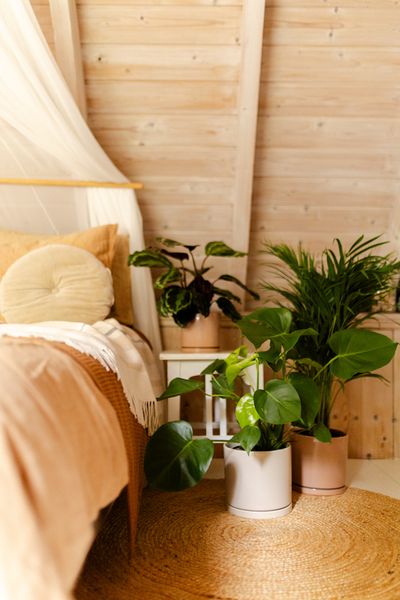 Cache-pot et soucoupe, céramique, beige, Ø21 x 20 cm