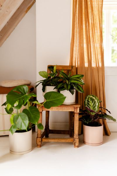 Cache-pot et soucoupe, céramique, vieux rose, Ø21 x 20 cm