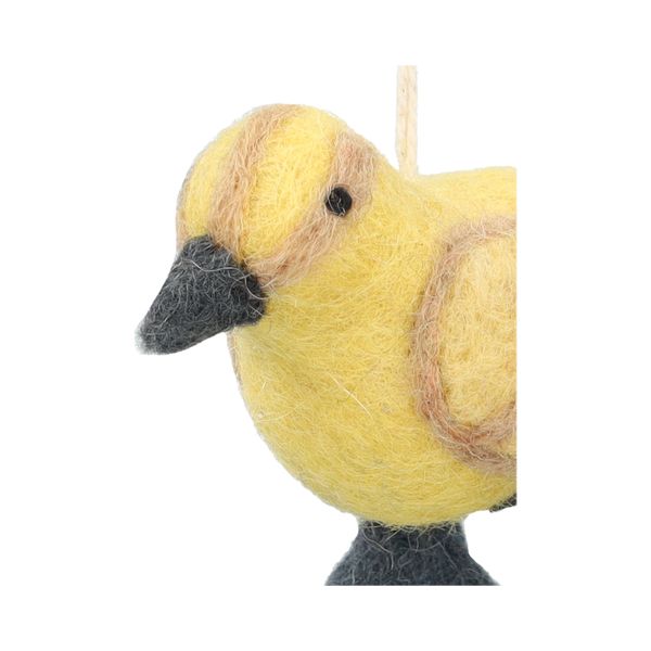 Hanger, vilt, eendje