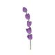 Branche de lavande, feutrine, violet, 24 cm