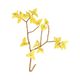 Branche de forsythia, feutrine, jaune, 40 cm