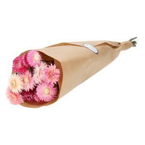 Droogbloemen, helychrisum, donkerroze