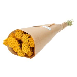 Droogbloemen, lona, geel