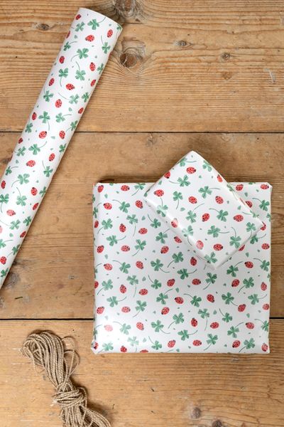 Inpakpapier, klavers en lieveheersbeestje, 70 x 250 cm