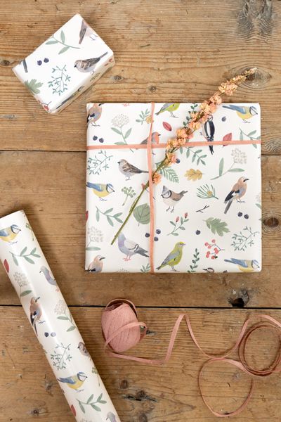 Inpakpapier met vogels, 70 x 250 cm