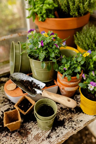 Blumentopf, Zink, olivgrün, Ø7 cm