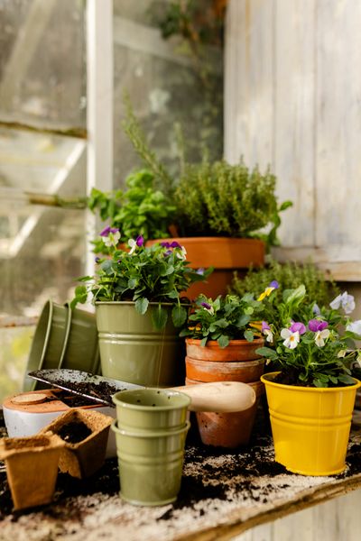 Blumentopf, Zink, olivgrün, Ø14,5 cm