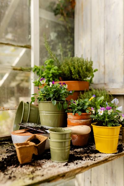 Blumentopf, Zink, olivgrün, Ø17 cm