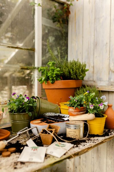 Blumentopf, Zink, ginstergelb, Ø11 cm