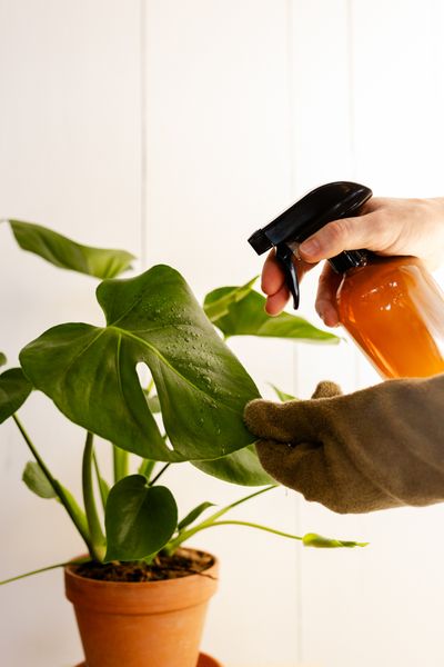 Vloeibare bladreiniger, 200 ml