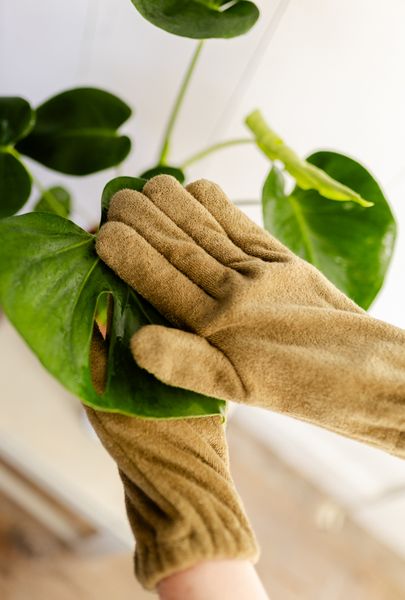 Handschoen bladreiniger, katoen, 1 maat