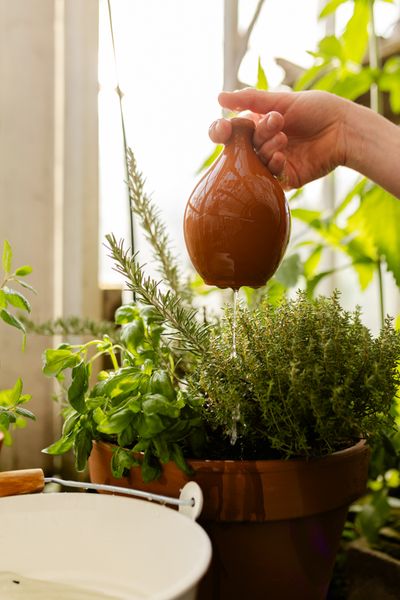 Daumengießkanne, Terrakotta, Ø 9,5 x 15,4 cm