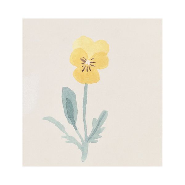 Ensemble de 3 cahiers, fleurs de printemps