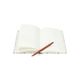 Carnet, papier, couverture rigide, fruits rouges, A5