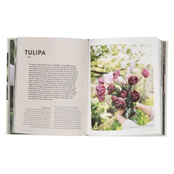 Alles over bloembollen, Judith van Lent