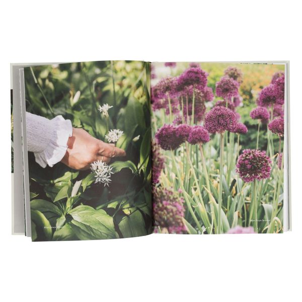 Alles over bloembollen, Judith van Lent