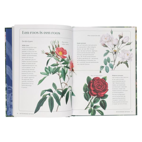 Alles wat je altijd wilde weten over plant en tuin, Ann Treneman & Royal Horticultural Society