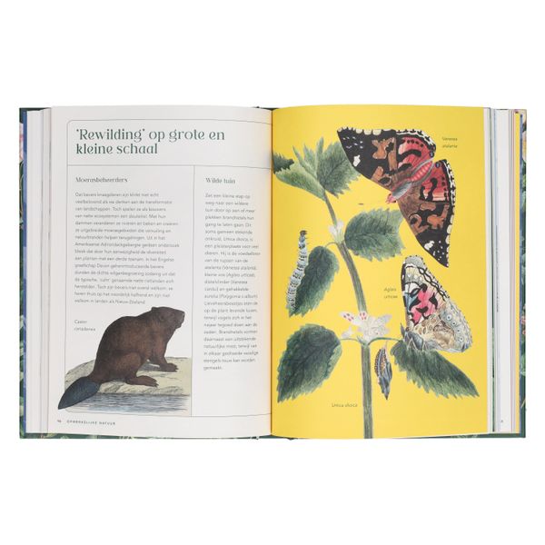 Alles wat je altijd wilde weten over plant en tuin, Ann Treneman & Royal Horticultural Society