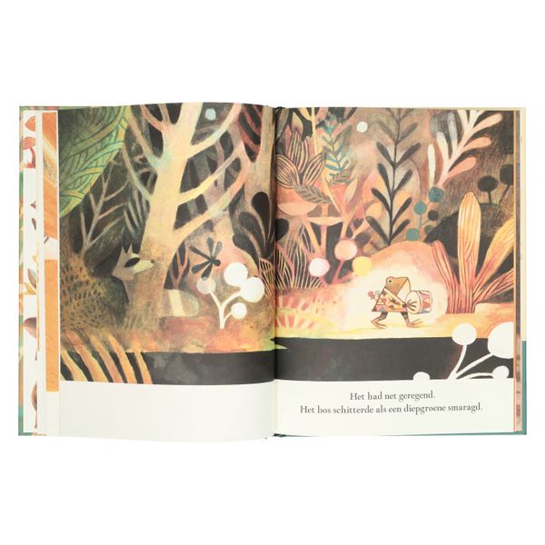 Pokko heeft een trommel, Matthew Forsythe