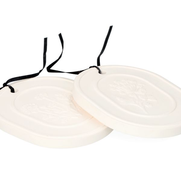 Diffuseurs de parfum pour garderobe, terre de diatomée, 2 unités