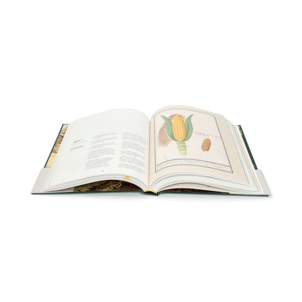 Groenvoer, Tobias Camman