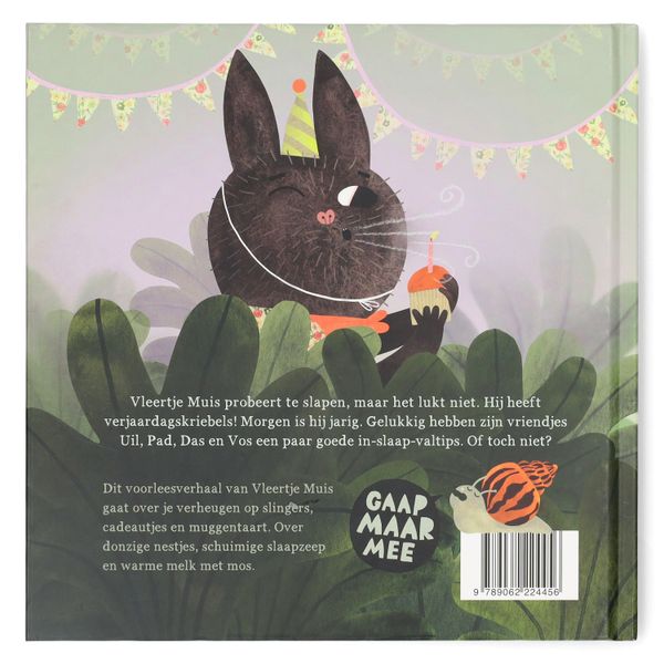 Vleertje muis en het gaapconcert, Susanne Roos