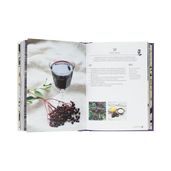 Het vlierboek, Natasja van der Meer