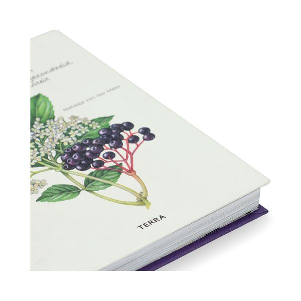 Het vlierboek, Natasja van der Meer