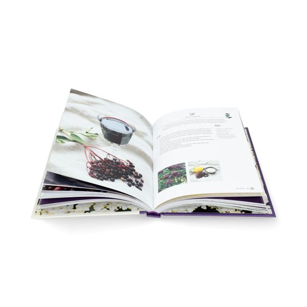 Het vlierboek, Natasja van der Meer