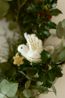 Hanger, vilt, vredesduif met ster