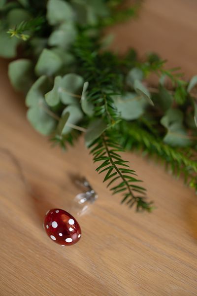 Knijper paddenstoel, glas, rood