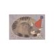 Kaart, poes met feesthoed