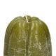 Vormkaars, groene pompoen, Ø8 x 11 cm