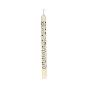 Adventskerze, Stechpalme, Ø 2,2 x 30 cm