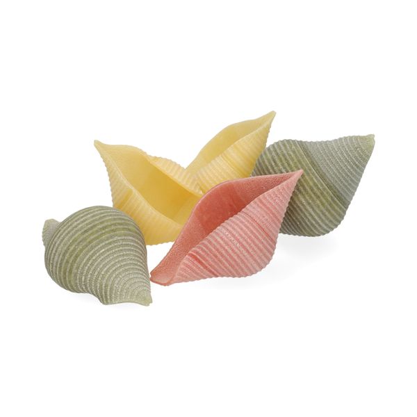 Pasta schelpen Conchiglioni tricolore, biologisch, 500 gram